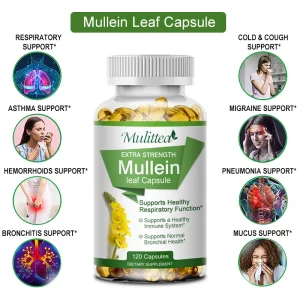 Mullein Leaf  Supplement